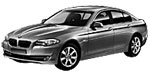 BMW F10 P1529 Fault Code